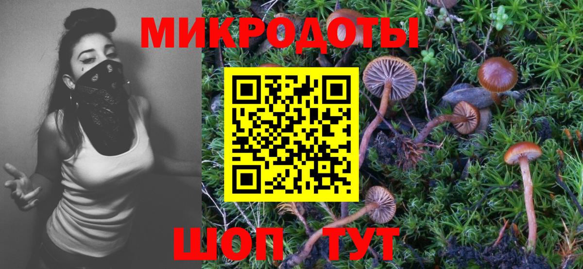Галлюциногенные грибы GOLDEN TEACHER Сосновоборск