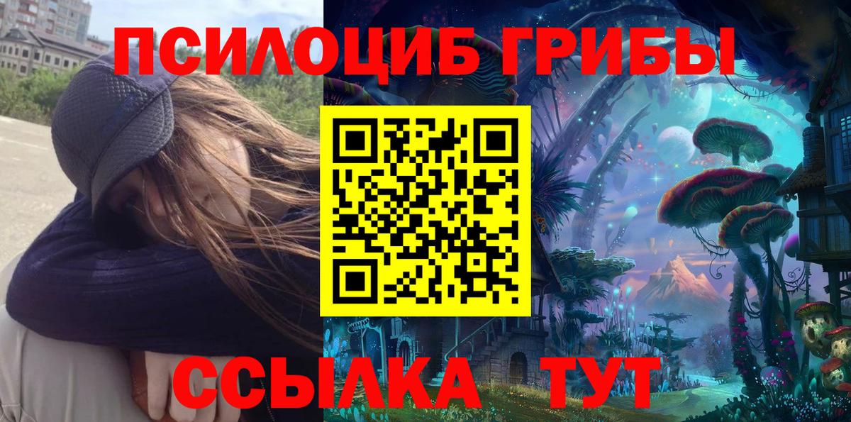 Галлюциногенные грибы Cubensis  где продают наркотики  Сосновоборск  Вход с VPN  Галлюциногенные грибы GOLDEN TEACHER 