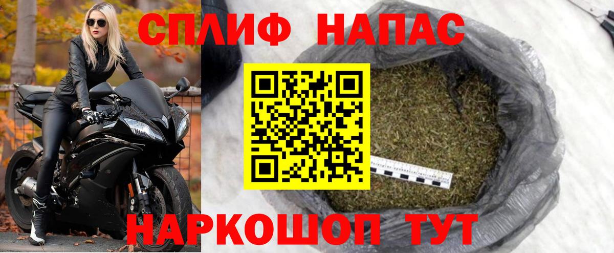 Конопля план Сосновоборск